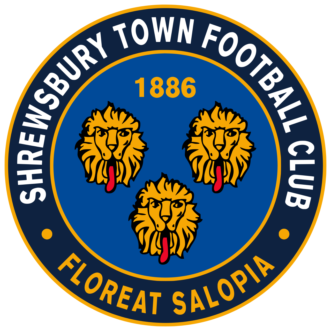 Shrewsbury FC Finances: Not Found on Shrewsbury, MA Official Site